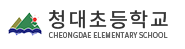 청대초